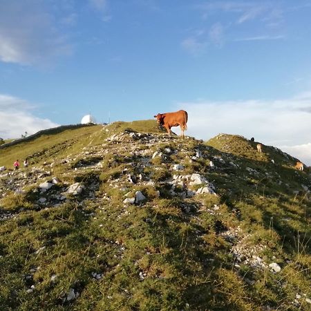 Cahute De Montagne Pour Profiter Du Haut Jura Prémanon Εξωτερικό φωτογραφία