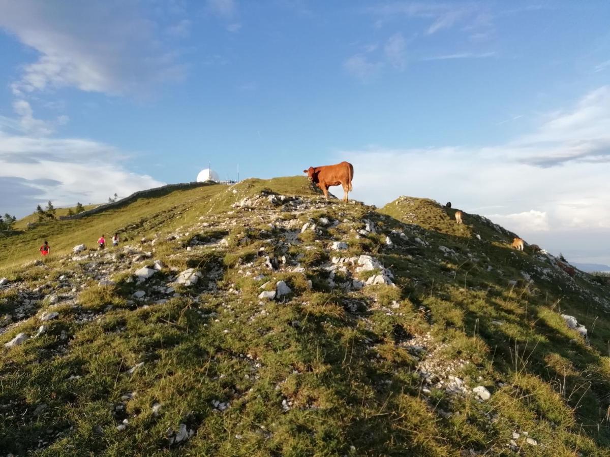 Cahute De Montagne Pour Profiter Du Haut Jura Prémanon Εξωτερικό φωτογραφία