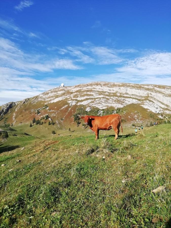 Cahute De Montagne Pour Profiter Du Haut Jura Prémanon Εξωτερικό φωτογραφία