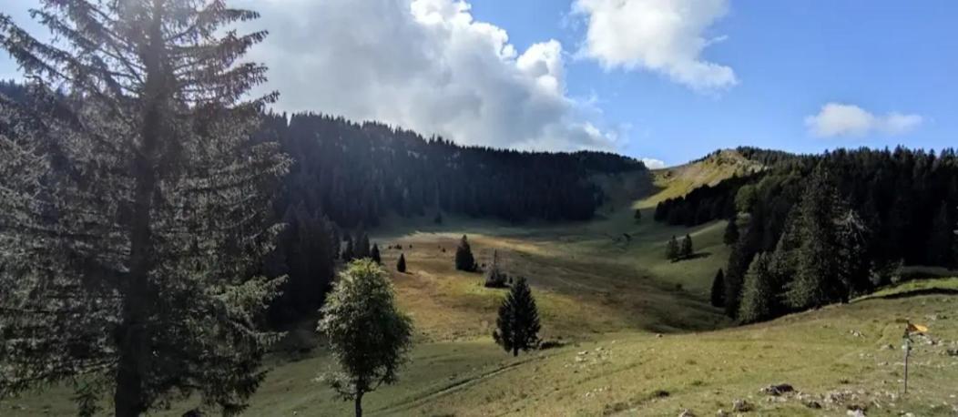 Cahute De Montagne Pour Profiter Du Haut Jura Prémanon Εξωτερικό φωτογραφία
